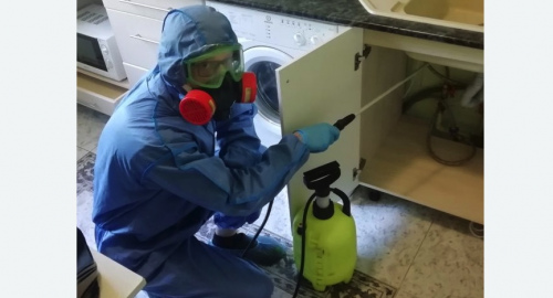 Уничтожение муравьев в квартире. Новочебоксарск