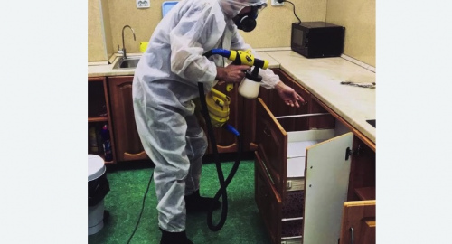 Уничтожение насекомых в квартире. Новочебоксарск