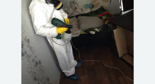 Обработка квартир от насекомых в г. Новочебоксарск