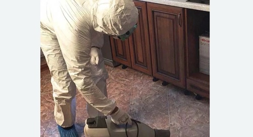 Уничтожение тараканов в квартире. Новочебоксарск