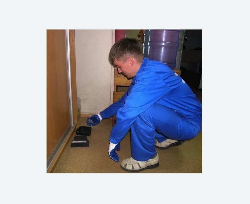 Дератизация крыс в г. Новочебоксарск