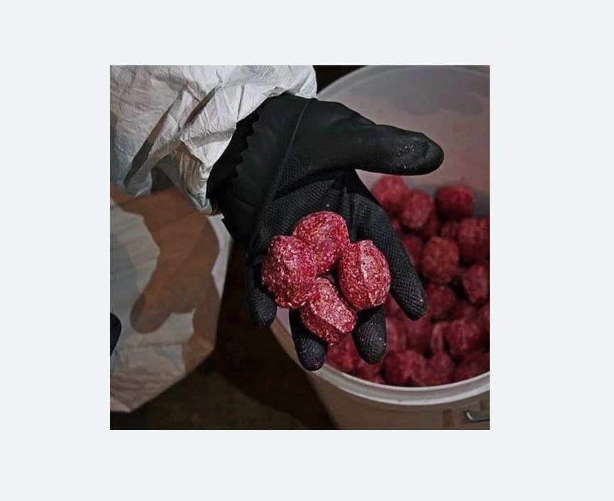 Обработка от крыс в г. Новочебоксарск