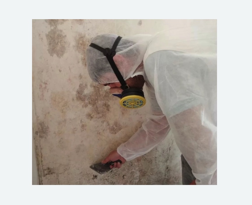 Обработка стен от плесени в г. Новочебоксарск