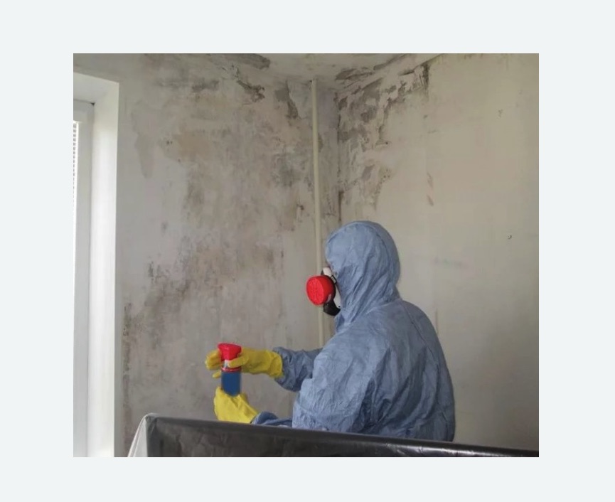 Удаление плесени в квартире в г. Новочебоксарск