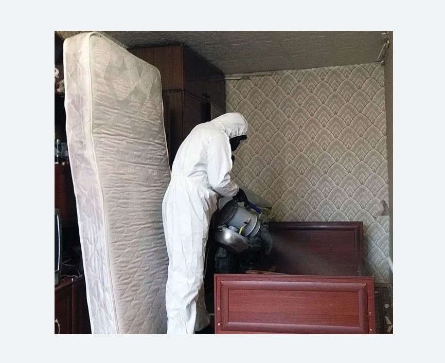 дезинфекция от клопов в г. Новочебоксарск