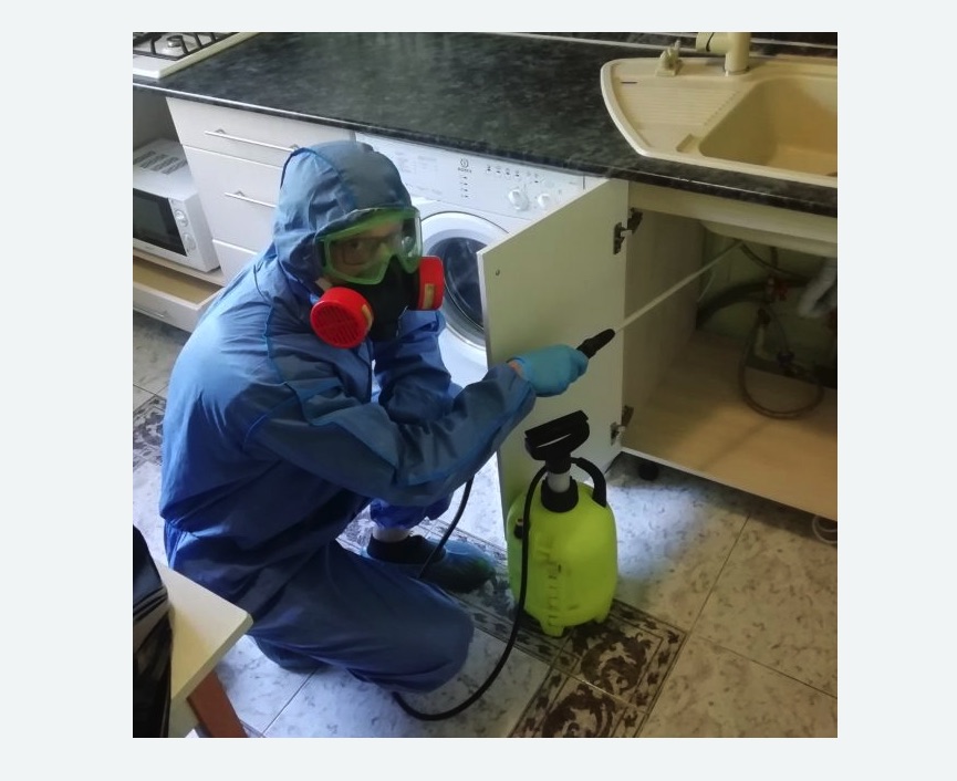 обработка от муравьев в квартире в г. Новочебоксарск