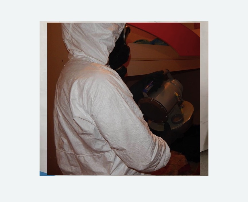 Дезинфекция от муравьев в г. Новочебоксарск