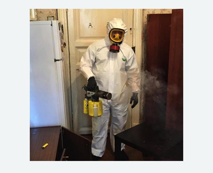 уничтожение муравьев в квартире в г. Новочебоксарск